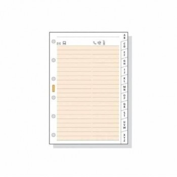 INDICE CARTULINA FINOCAM CLASSIC AZ/12 602 C275