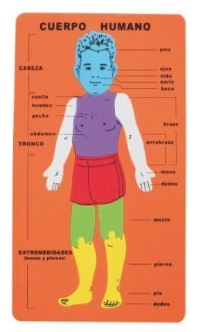 PUZZLE "EL CUERPO HUMANO" DE GOMA EVA