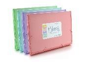 CLASIFICADOR 12 DIV FUELLE BLUSH PASTEL
