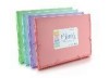 CLASIFICADOR 12 DIV FUELLE BLUSH PASTEL
